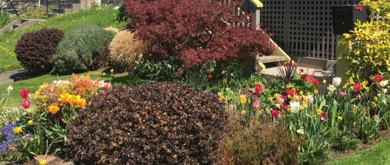 IMG 5223 Scaled E1760903777995 768x325