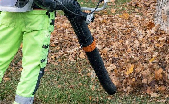 Leaf Blowing Jpg